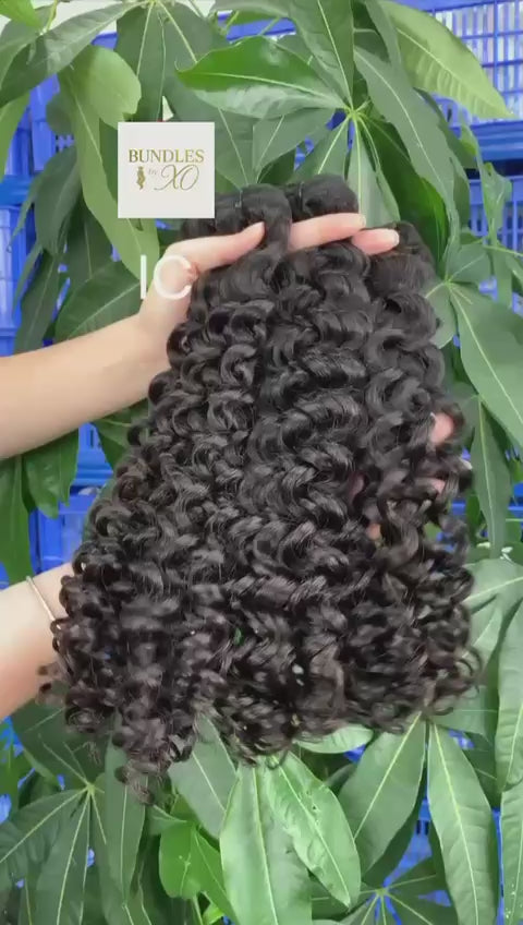 Italian curly